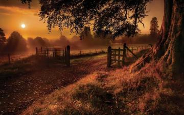 Old Road Gate Farm Ranch Wallpaper