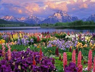 Beautiful Spring Wallpaper
