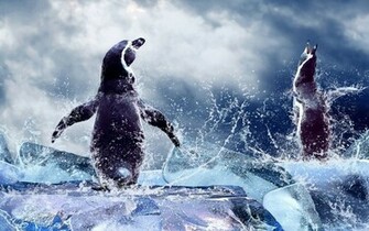 Penguin Wallpaper