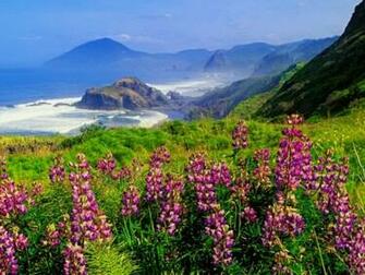 Ocean Landscape Summer