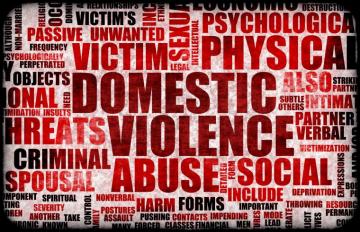Coalition For Family Harmony Domestic Violence