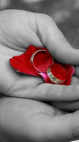 Engagement Wallpaper HD Rings