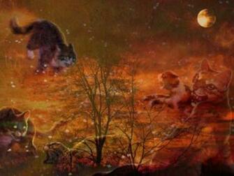 My Top Collection Warrior Cats Wallpaper