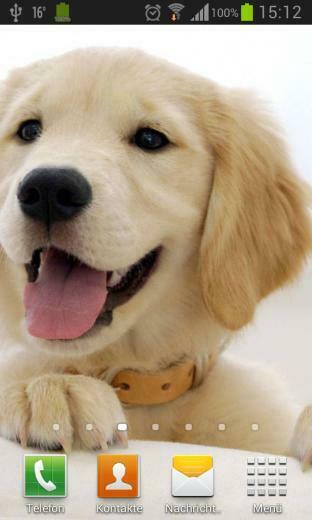Puppies Dogs Live Wallpaper Android Apps On Google Play