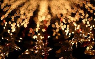 Fairy Lights Wallpaper