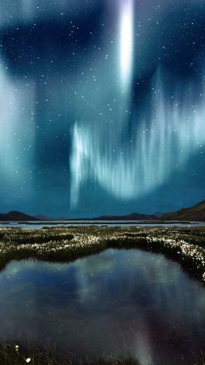 Aurora Borealis Flowers iPhone HD Wallpaper