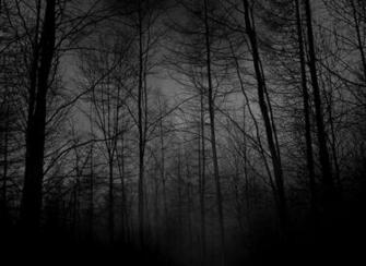 Bosque Depresivo Fondo De Pantalla