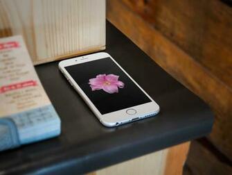Ios Style Flowers Wallpaper For iPhone