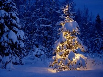 3d Christmas Tree Wallpaper Background