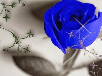 Blue Rose Wallpaper Background Beautiful Desktop