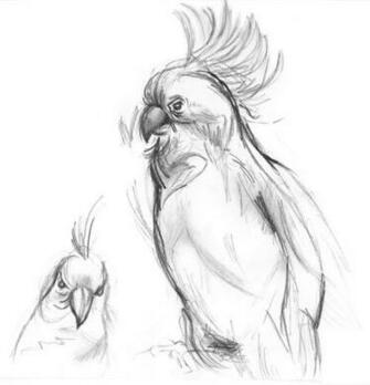 Wallpaper Pencil