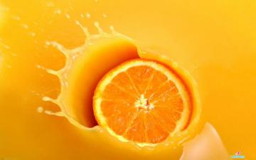 Orange Fruit HD Wallpaper Fruits