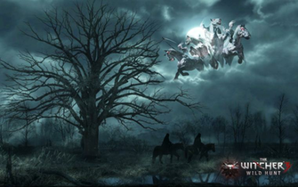 Witcher The Wild Hunt By Bejusek