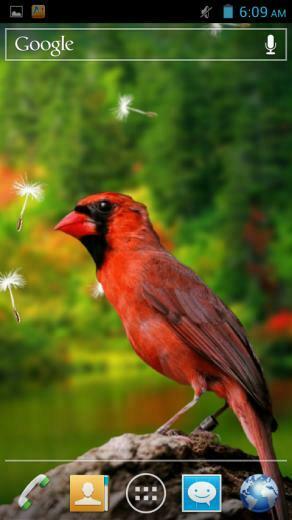 3d Birds Live Wallpaper Android Apps On Google Play