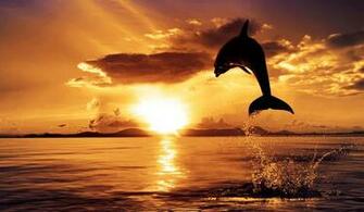 Ocean Sunset Wallpaper Image Photos Pictures Background