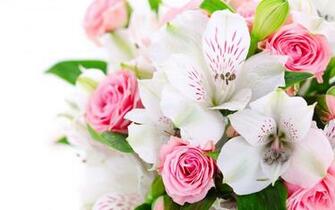 Pink Roses And Orchid Flowers Wallpaper HD