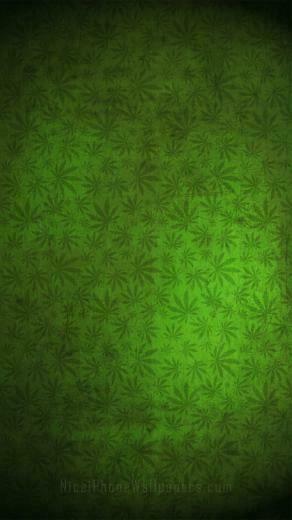 Best Weed Wallpaper For iPhone