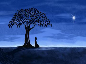 Image Result For Buddha Wallpaper HD Vipassana