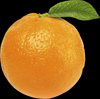 Orange Png Image With Transparent Background