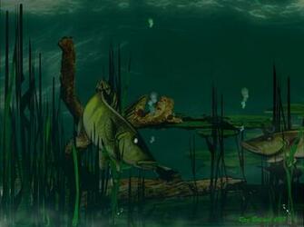 Walleye Wallpaper