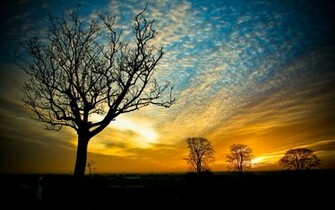 Nature World Wallpaper New Santa Banta