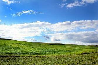 Windows Xp Default Wallpaper