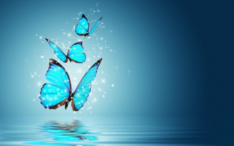 Blue Butterfly Wallpaper HD