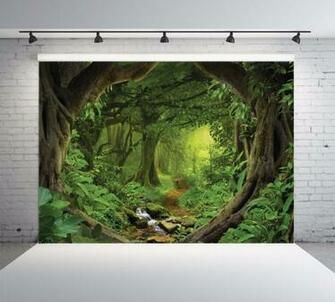 Sjoloon Vinyl Party Photgraphy Backdrops Children Photography