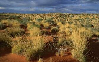 Australia Wallpaper Best
