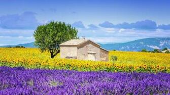 Provence France Wallpaper Top Background