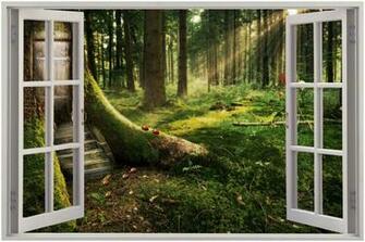 Enorme Finestra 3d Enchanted Forest Vista Adesivo Parete Arte Murale