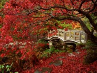 Fall Desktop Background Photo Autumn Wallpaper