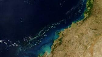 Great Barrier Reef Wallpaper