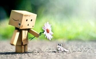 Cute Danbo Flower Frog Friendship Wallpaper Link