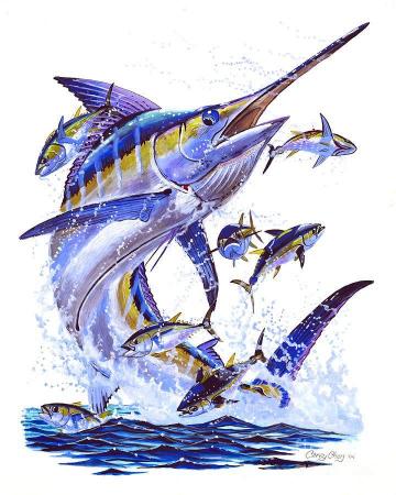 Blue Marlin By Carey Chen Fish Artwork