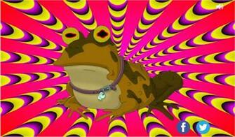 Hypnotoad Android Apps On Google Play