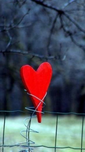 Cute Funny Heart Cell Phone Wallpaper HD