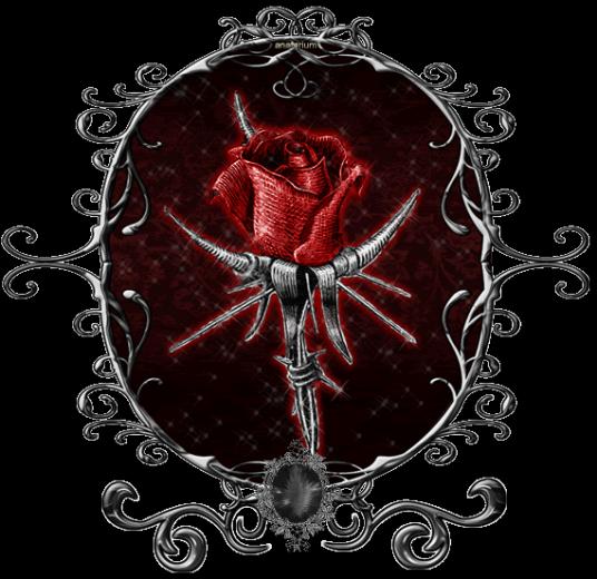 Bloody Rose Poem Image Pictures Becuo