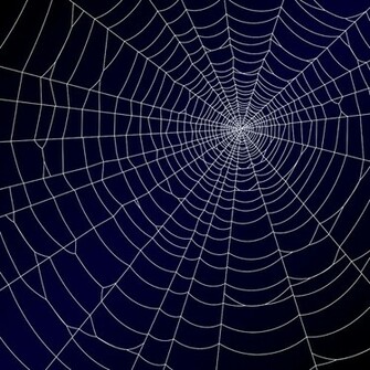 Vector Spider Web Design Background Graphics
