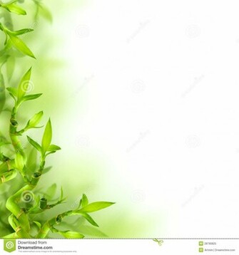 Green Leaf Background HD Wallpaper Pulse