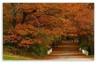 Autumn Vanilla Picture Sceens
