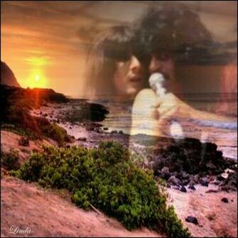 Steve Perry Image Wallpaper And Background