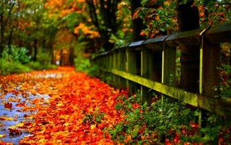 Autumn Leaf Wallpaper