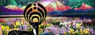 Bassnectar Background Where It All Began