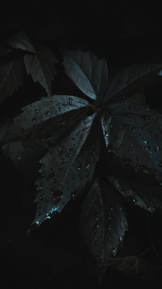 Dark iPhone Wallpaper