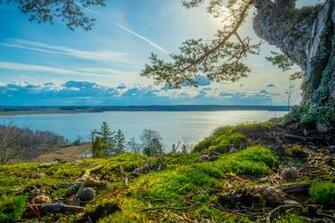 Nature Landscape Summer River Trees Grass Clouds Sunlight