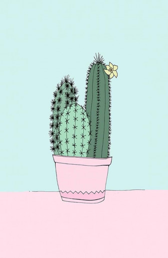 Cactus iPhone Wallpaper