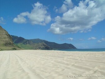 Hawaiian Wallpaper