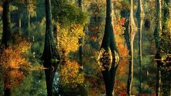 Fall Landscapes Computer Desktop Wallpaper Background