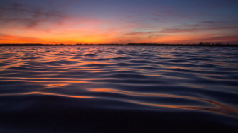 Minimalist Nature Wallpaper